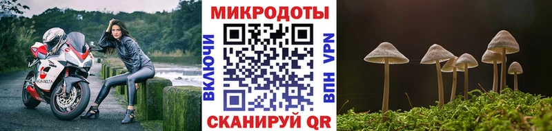 Галлюциногенные грибы MAGIC MUSHROOMS  Купить закладки  Бокситогорск 
